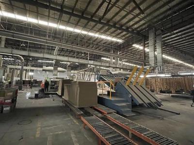 金山的她，榮登上海市表彰名單 紙制品銷售領域的卓越典范